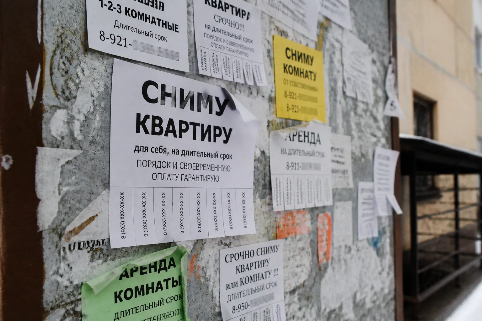 Аренда жилья для студентов: как распознать мошенников и не потерять деньги